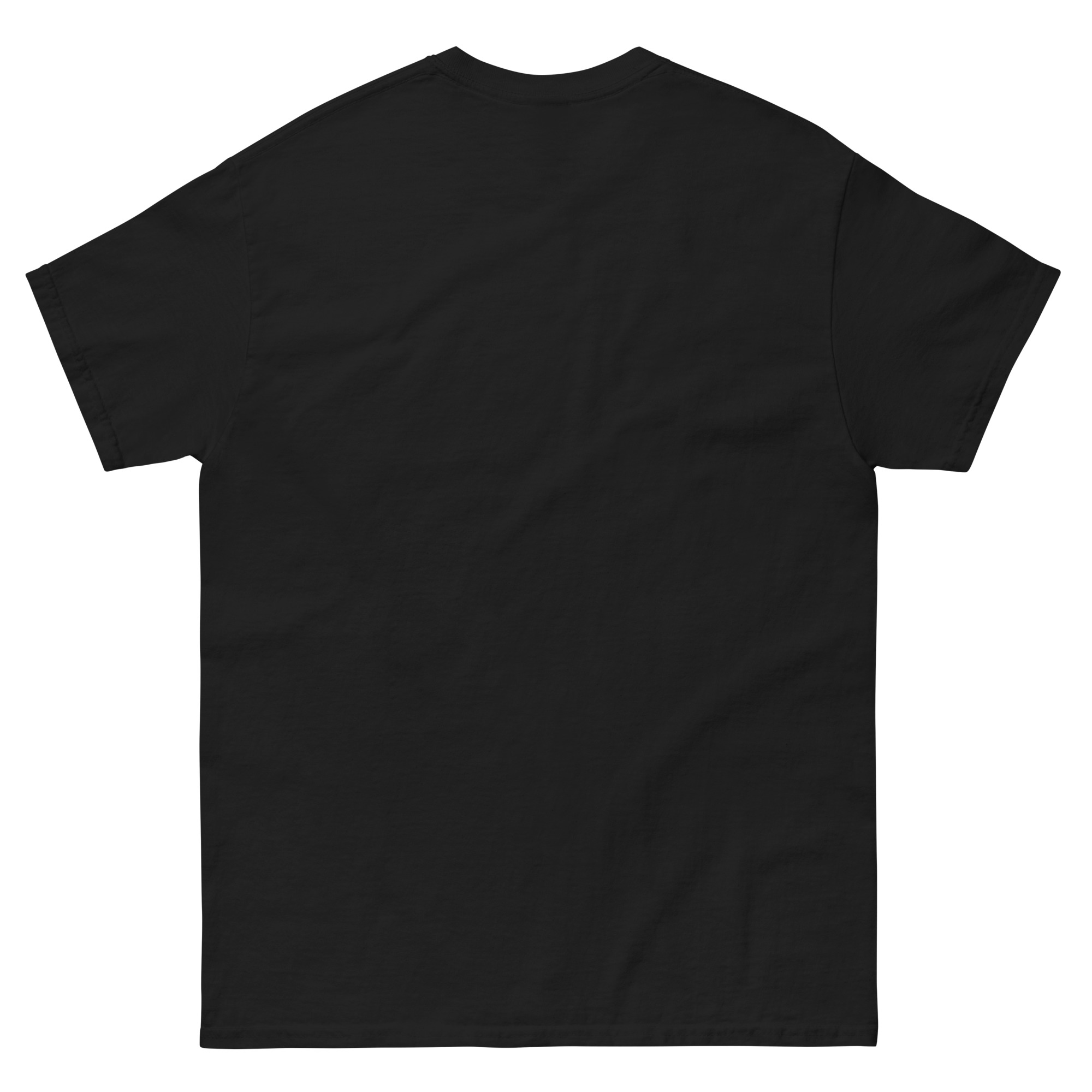 mens-classic-tee-black-back-6630b0a16f23b.jpg