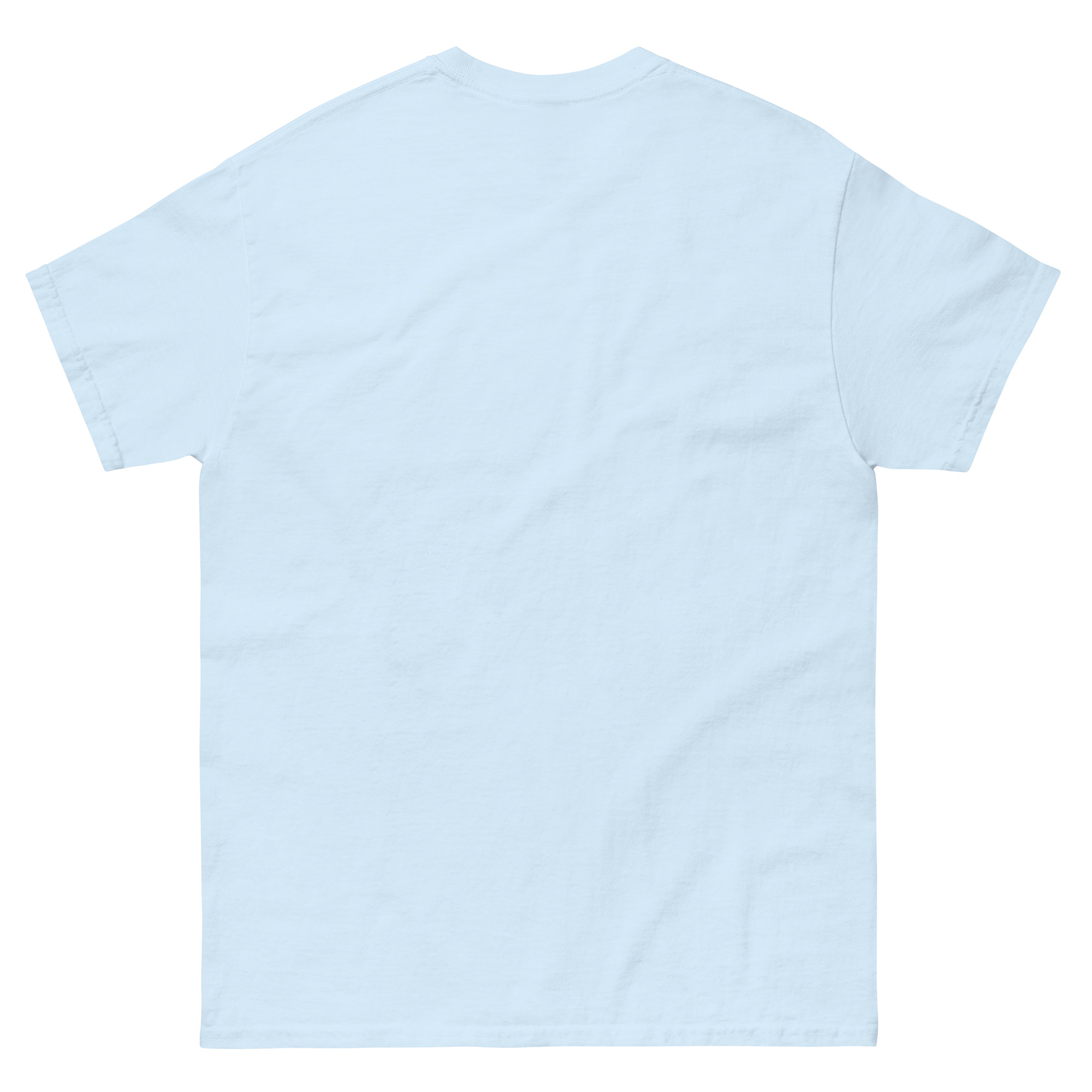 unisex-classic-tee-light-blue-back-68309985d8ed7.jpg